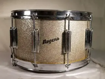 8x15 Rogers Dynasonic on ebay