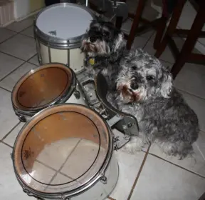 Sorting some vintage drum hardware...