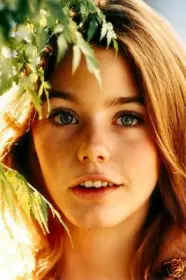 the partridge family