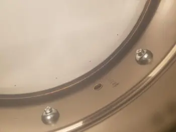 Identify Black Beauty