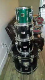 Rogers Drums