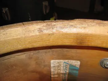 Ludwig Black Panther