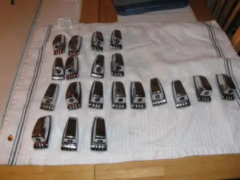 Ludwig Black Panther