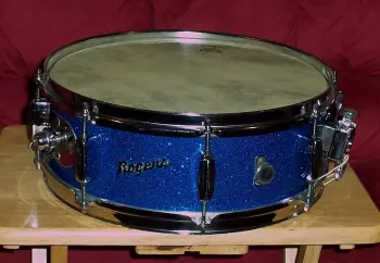 Rogers Holiday Snare