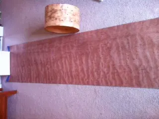 Ludwig Coliseum 14x8 Restore