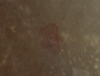 1944-45 Slingerland Parade Drum