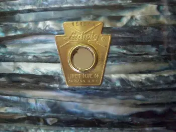 Luddy Oyster Blue Pearl?