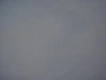 1970's CAMCO 20&quot; logo bass drum head