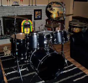 Ludwig Black Panther Kit