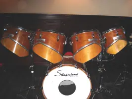 what is this slingerland