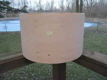 Ludwig 6 ply project