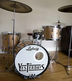 My Ludwig.
