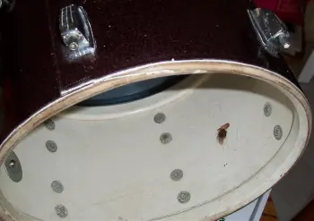 Question regarding Ludwig wraps and seams