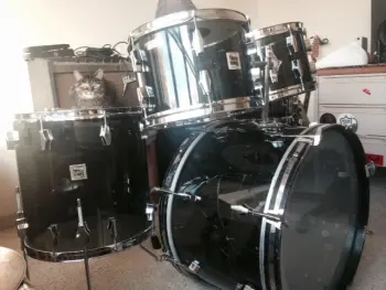 Crazy Smashed Fibes Bass Drum Project