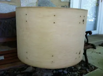 WANTED: 6-Ply LUDWIG Shells