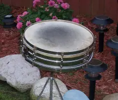 Expertise Needed --- Now!