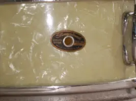 Can you help me identify my Snare?