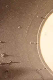 70's Roger's Big R  and script logo Take your pick!