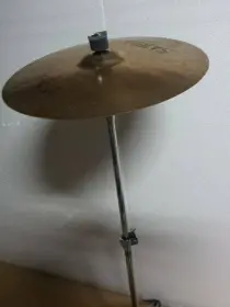 What kind of wood is this???