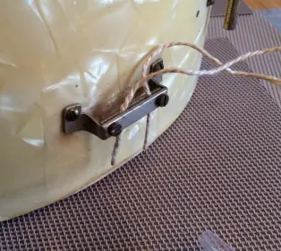 Mystery Leedy Snare?