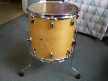 Looking to ID these shells