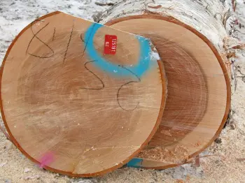 Identify Premier Drum Set