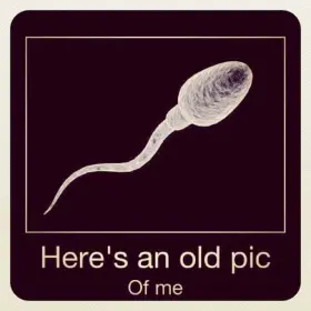 Who Do You Look Like