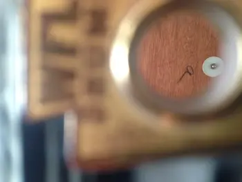 1956 WFL Buddy Rich Super Classic in Oyster Black Pearl