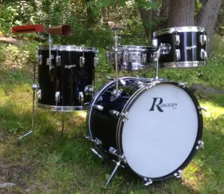 Rogers Dynasonic $$