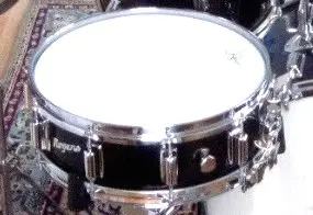 Rogers Dynasonic $$