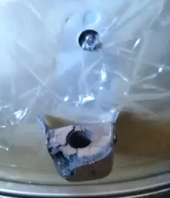 What Happened Here?