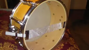 Rogers Brook Mays Snare