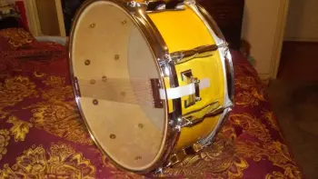 Rogers Brook Mays Snare